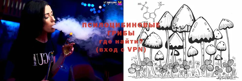 Псилоцибиновые грибы Psilocybine cubensis  даркнет сайт  Гремячинск 